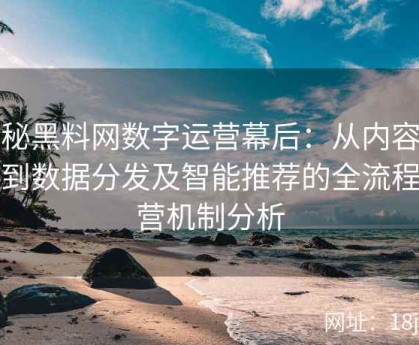 揭秘黑料网数字运营幕后：从内容采集到数据分发及智能推荐的全流程运营机制分析
