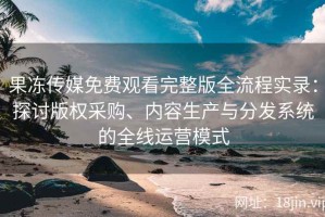 果冻传媒免费观看完整版全流程实录：探讨版权采购、内容生产与分发系统的全线运营模式