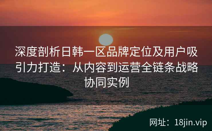 深度剖析日韩一区品牌定位及用户吸引力打造：从内容到运营全链条战略协同实例