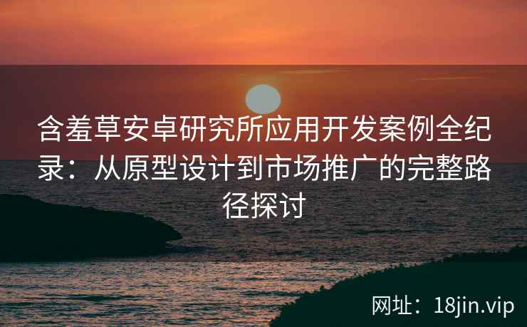 含羞草安卓研究所应用开发案例全纪录：从原型设计到市场推广的完整路径探讨