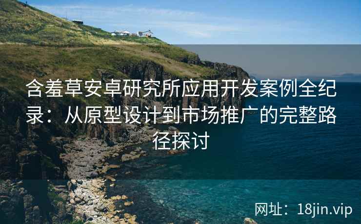 含羞草安卓研究所应用开发案例全纪录：从原型设计到市场推广的完整路径探讨